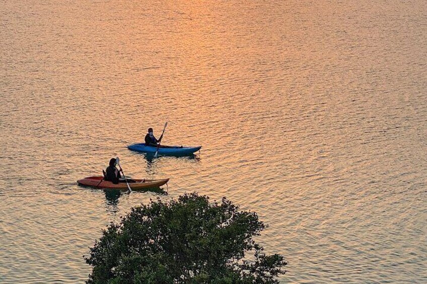 Eco Kayaking Adventure – Mangrove Exploration at Purple Island