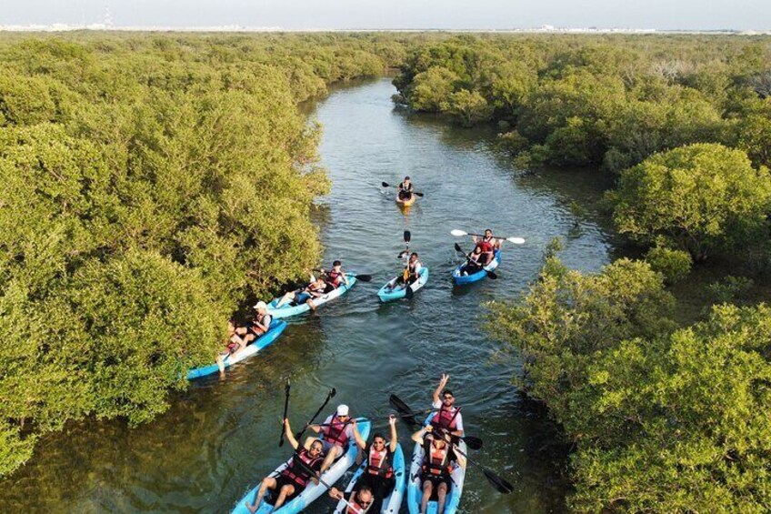 Eco Kayaking Adventure – Mangrove Exploration at Purple Island