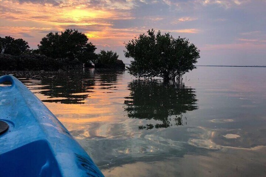 Eco Kayaking Adventure – Mangrove Exploration at Purple Island