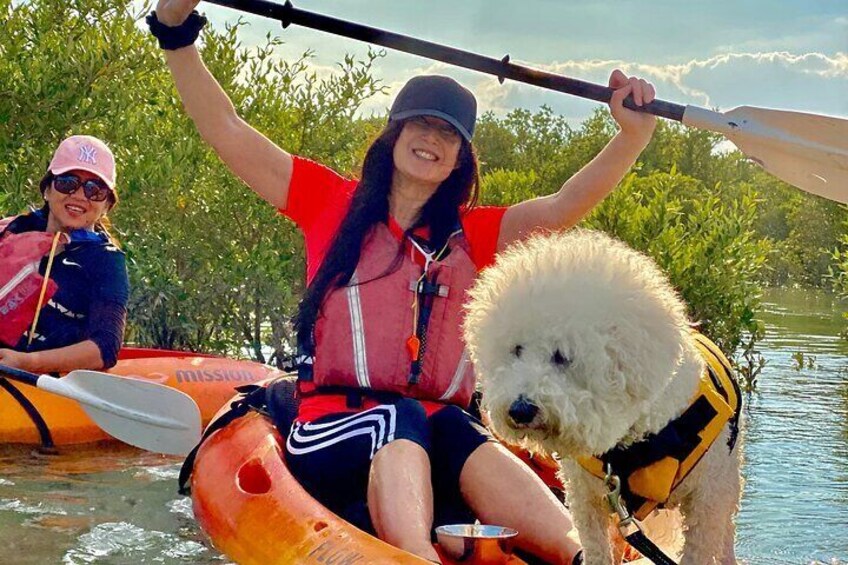 3-Hour Kayaking Eco Tourism Adventure in Qatar