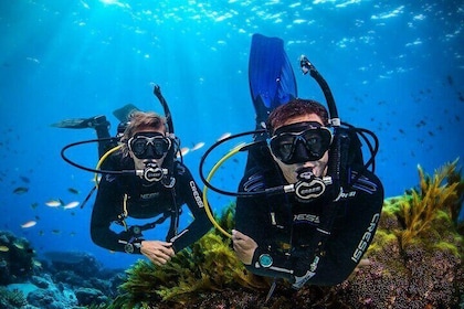 Lebanon Scuba Diving