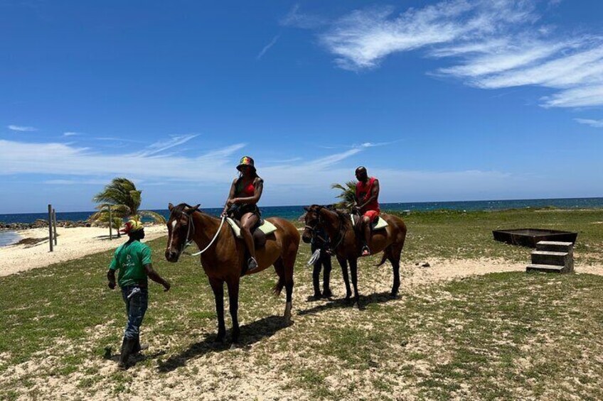 Horseback Ride & Swim Private Tour In Montego Bay 