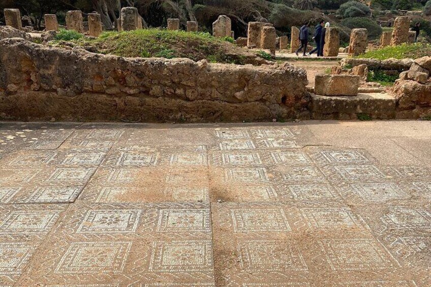 Private Day Tour to the Roman Ruins of Tipaza