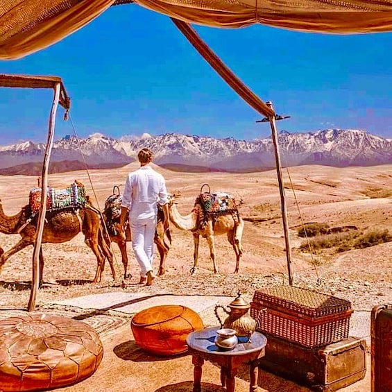 Picture 3 for Activity From Marrakech: Agafay Desert Dinner and Optional Camel Ride