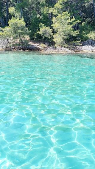 Picture 2 for Activity Zadar: Three Islands Private Boat Tour