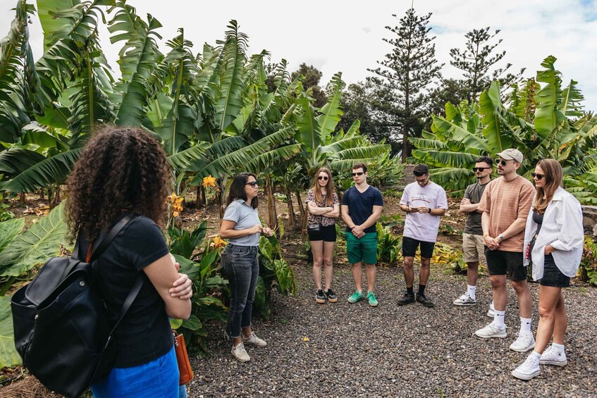 Picture 8 for Activity La Orotava: Ecological Banana Plantation Guided Tour