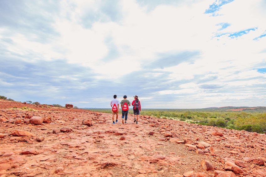 Guided Sunrise Tour of Uluru-Kata Tjuta National Park