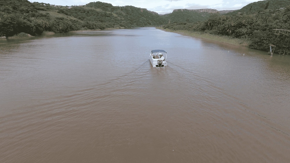 Picture 12 for Activity Port Edward: Luxury Boat Cruise on the Umtamvuna River