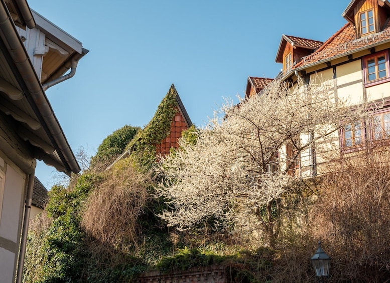 Picture 9 for Activity Quedlinburg: Guided City Highlights Walking Tour