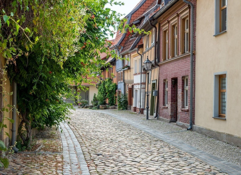 Picture 8 for Activity Quedlinburg: Guided City Highlights Walking Tour