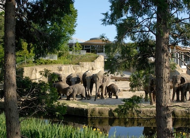 Köln: Kölns djurpark och akvarium Entrébiljett