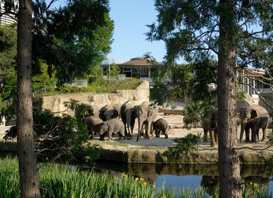 ケルン：ケルン動物園と水族館の入場チケット