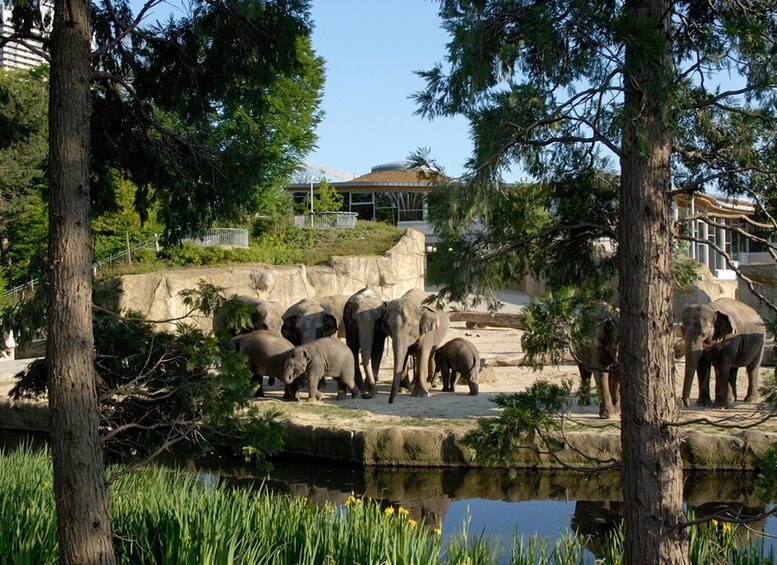 Cologne: Cologne Zoo and Aquarium Entry Ticket