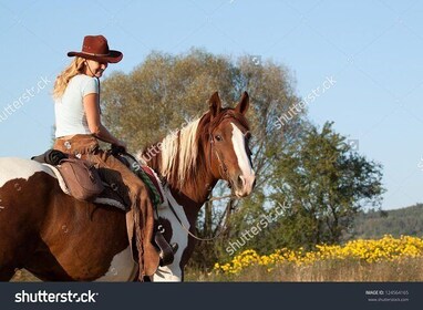 2 Hour Horseback Ride