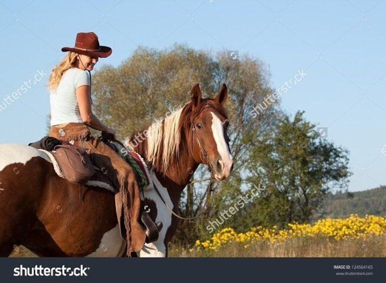 2 Hour Horseback Ride