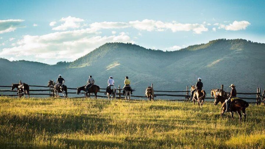 2 Hour Horseback Ride