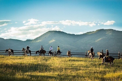 2 Hour Horseback Ride