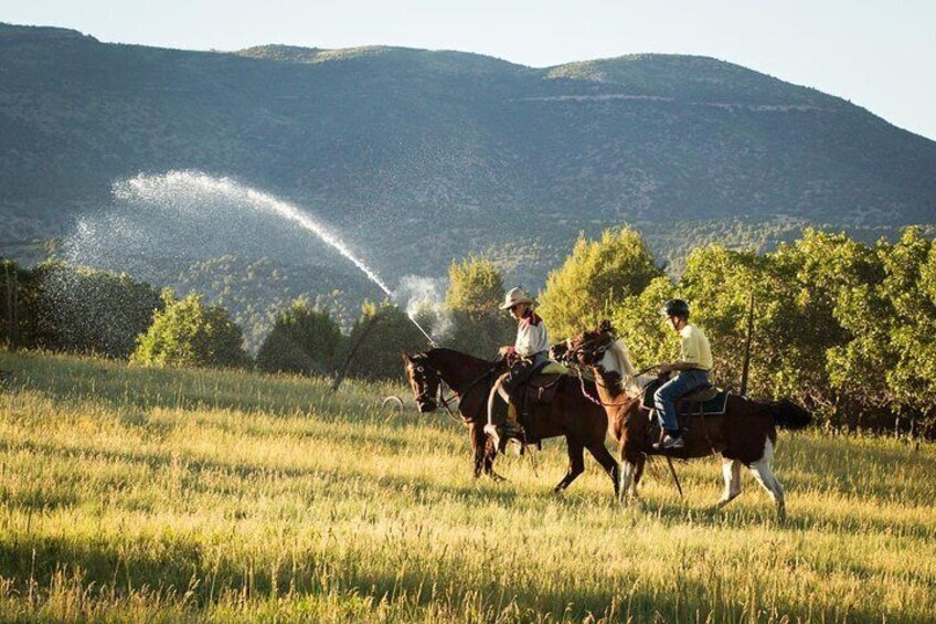2 Hour Horseback Ride