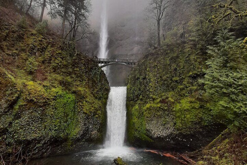 A Full Day of Wonder: Wine, Waterfalls, and Timberline Tour