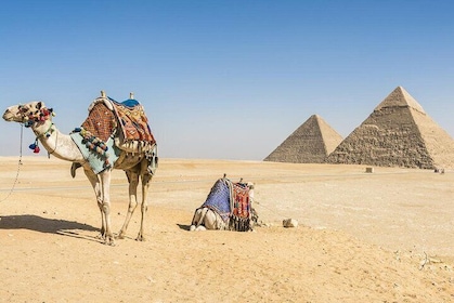 Private Tagestour nach Kairo mit Flügen und Mittagessen von Hurghada
