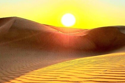 Watching Sunrise in Wahiba Sand Desert - Early Morning Tour