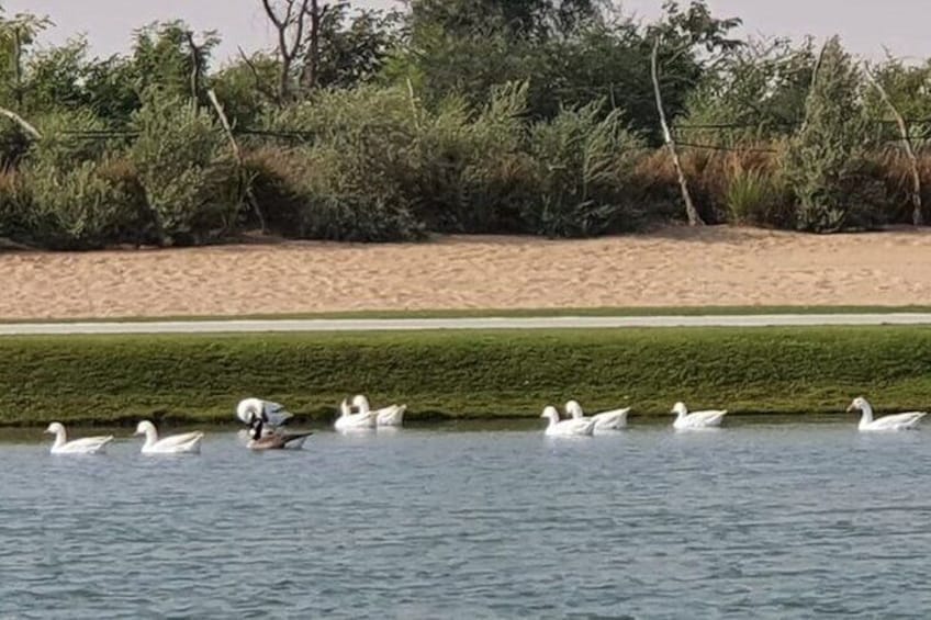 Private Tour in Love Lake Dubai with Pick up included