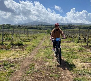 Frascati : Tour en E-Bike avec dégustation de vin