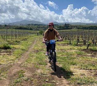 Frascati : Tour en E-Bike avec dégustation de vins