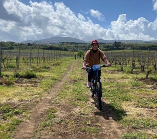Frascati : Tour en E-Bike avec dégustation de vins