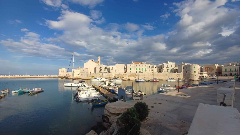 Picture 53 for Activity From Bari - Day trips Puglia and Matera (private or shared)