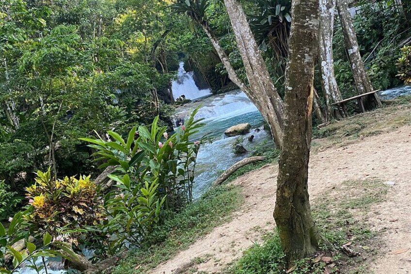 Private Horseback Riding with Blue Hole River Tour in Montego Bay