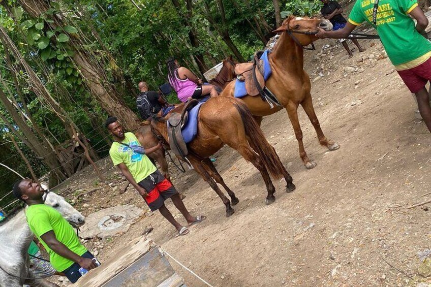 Private Horseback Riding with Blue Hole River Tour in Montego Bay