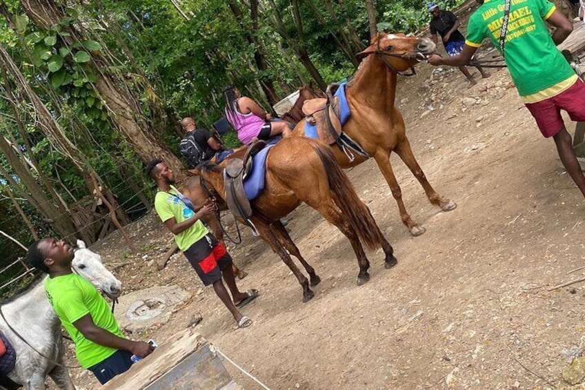 Private Horseback Riding with Blue Hole River Tour in Montego Bay