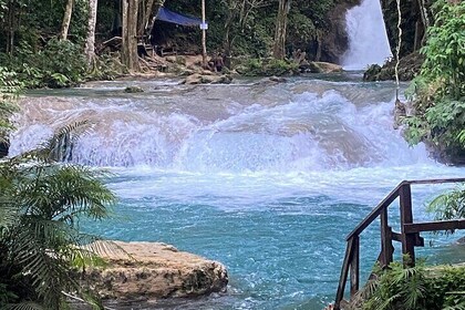 Private Horseback Riding with Blue Hole River Tour in Montego Bay