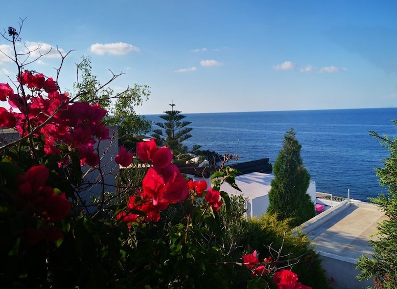 Picture 13 for Activity From Lipari: Panarea and Stromboli Full-Day Boat Trip