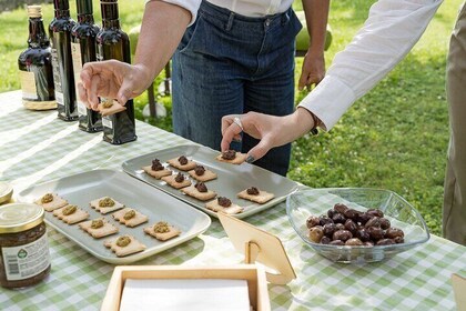 Lake Garda Olive Oil Tour and Tasting Experience