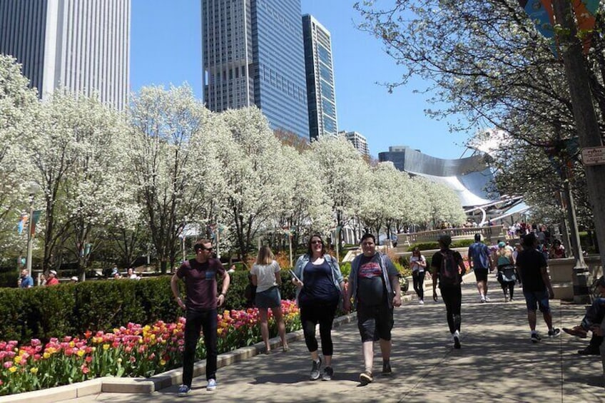 Chicago Food Tour with The Magnificent Mile and Millennium Park