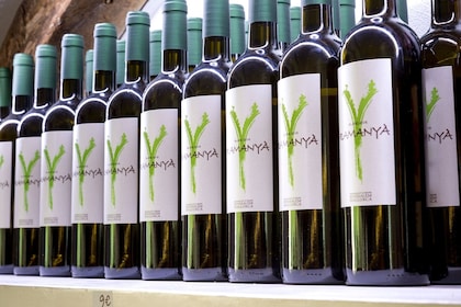 Visite de vignobles à Majorque avec dégustation de vins et de produits loca...