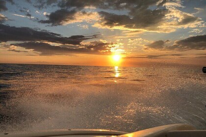 Private Sunset Cruise in St. Petersburg, Florida