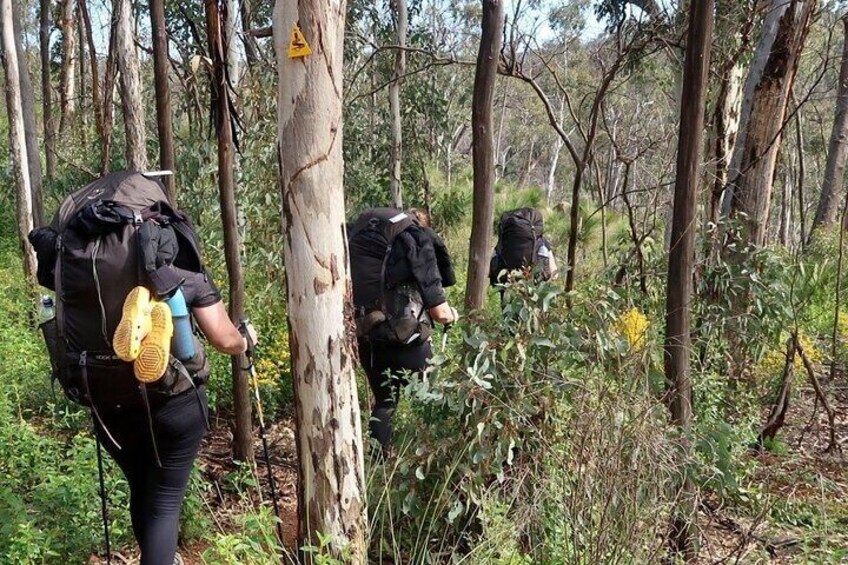 Bibbulmun Track Multi-Day Hike and Camp to the Darling Range