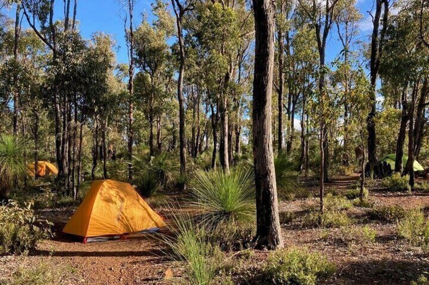 Bibbulmun Track Multi-Day Hike and Camp to the Darling Range