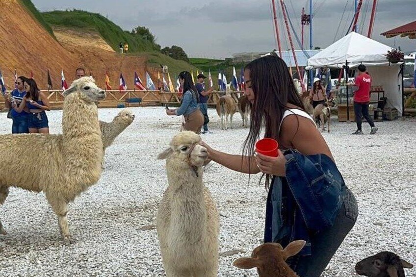 Piedra del peñol + El Alto del Chocho Farm + Boat tour