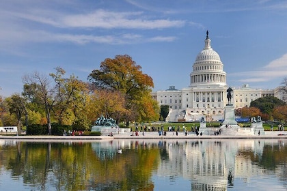 Private Audio Guided Walking Tour in Washington