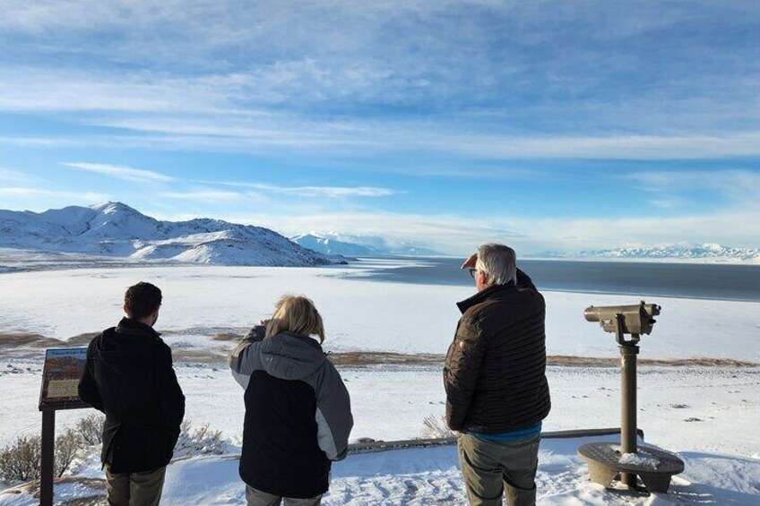 Great Salt Lake and Antelope Island Day Tour