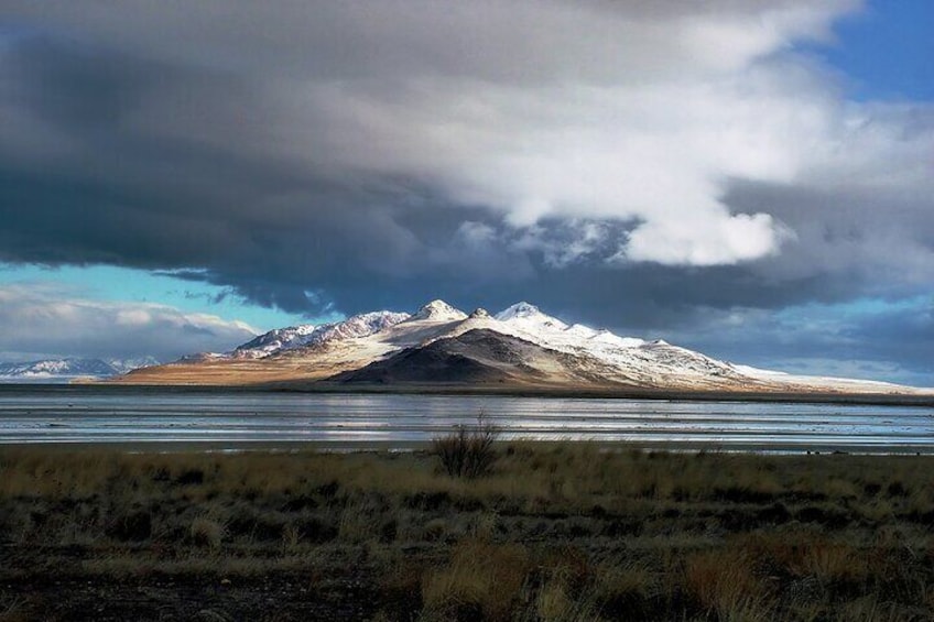 Great Salt Lake and Antelope Island Day Tour