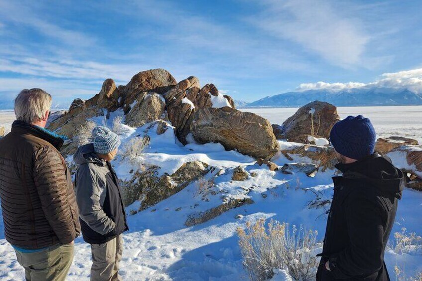 Great Salt Lake and Antelope Island Day Tour