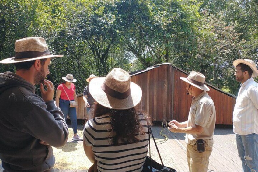 Cultural Coffee Tour at Hacienda Cafetera Coloma