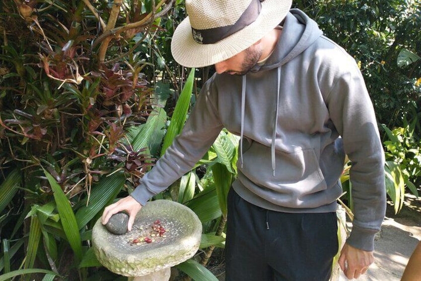 Cultural Coffee Tour at Hacienda Cafetera Coloma