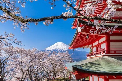 Fuji Vijf Meren Tour met Gids & Voertuig (Tokio Dep)