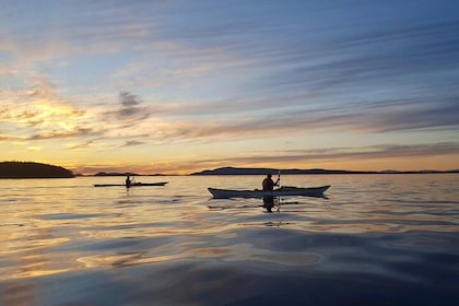 Full Day San Juan Island Kayaking Adventure